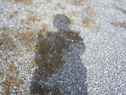 thumbs/DSCN0583.png
